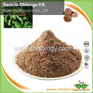 Salacia Oblonga P.E.
