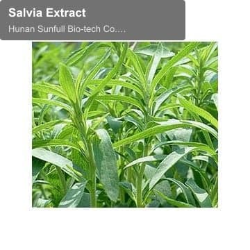 Salvia Extract