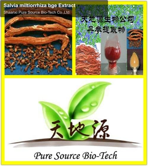 Salvia miltiorrhiza bge Extract