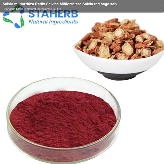 Salvia miltiorrhiza Radix Salviae Miltiorrhizae Salvia red sage salvia miltiorrhiza extract