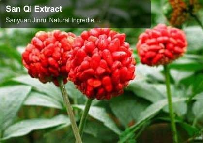 San Qi Extract