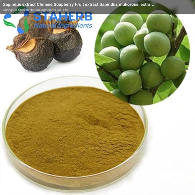Sapindus extract Chinese Soapberry Fruit extract Sapindus mukorossi extract Sapindus mukorossi Gaert