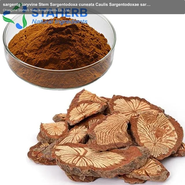 sargentg loryvine Stem Sargentodoxa cuneata Caulis Sargentodoxae sargentg loryvine Stem Caulis Sarge