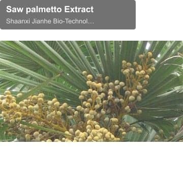 Saw palmetto Extract