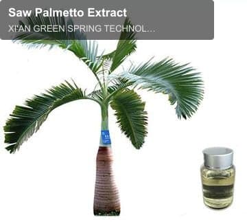 Saw Palmetto Extract