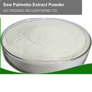 Saw Palmetto Extract Powder