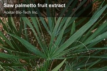 Saw palmetto fruit extract