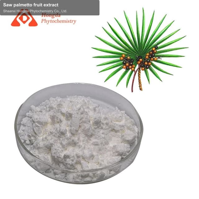 Saw palmetto fruit extract