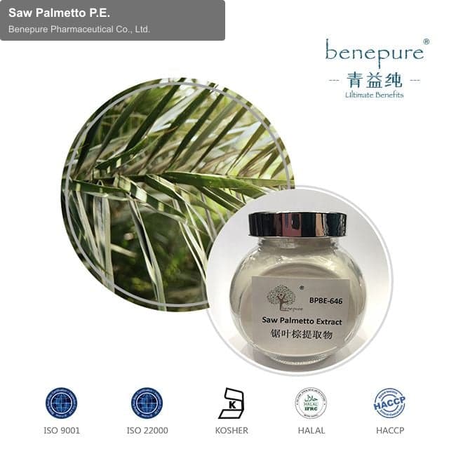 Saw Palmetto P.E.