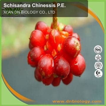 Schisandra Chinessis P.E.
