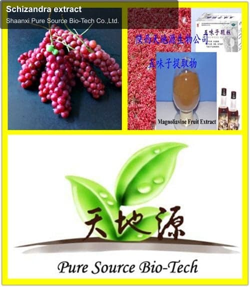 Schizandra extract