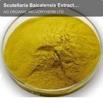 Scutellaria Baicalensis Extract Powder
