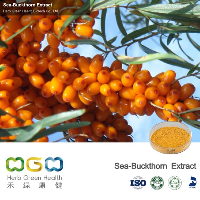 Sea-Buckthorn Extract