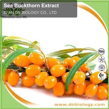Sea Buckthorn Extract