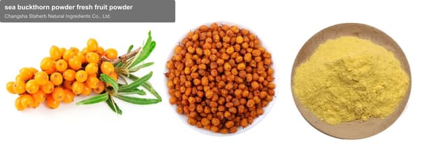 sea buckthorn powder fresh fruit powder
