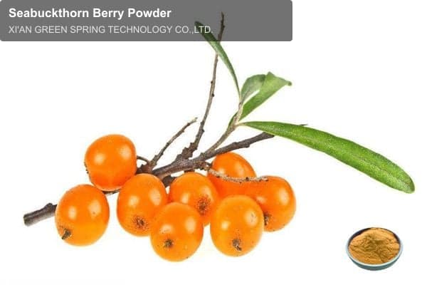 Seabuckthorn Berry Powder