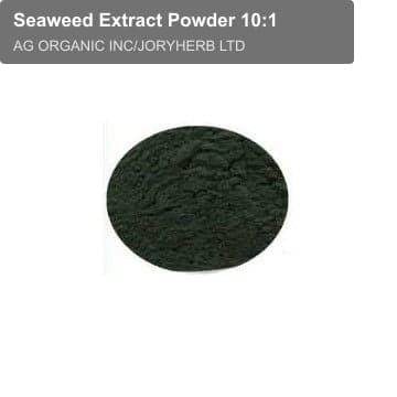 Seaweed Extract Powder 10:1
