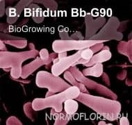 BioGrowing Co.,Ltd. sell "B. Bifidum Bb-G90"