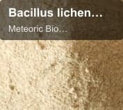 Meteoric Biopharmaceuticals Pvt Ltd sell "Bacillus licheniformis (MBPL - BLM21)"