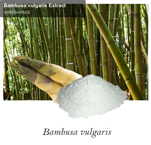 GREENSPACE sell "Bambusa vulgaris Extract"