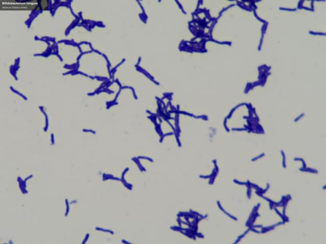 Advenza Global Limited sell "Bifidobacterium longum"