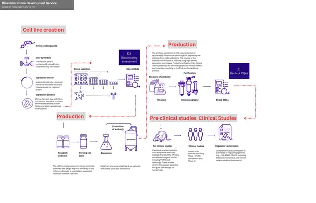 GENEXT GENOMICS PVT LTD sell "Biosimilar Clone Development Service"