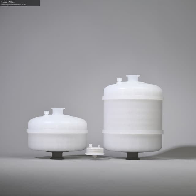 Shenyang Great Wall Filtration Co.,Ltd sell "Capsule Filters"