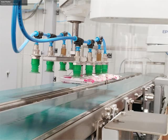 Clearpack Automation Pvt. Ltd. sell "Case Packer"