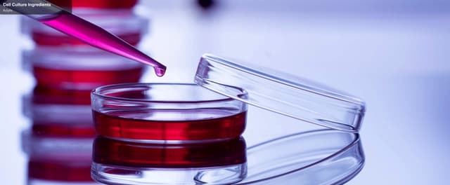 Actylis sell "Cell Culture Ingredients"