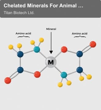 Titan Biotech Ltd. sell "Chelated Minerals For Animal Feed"