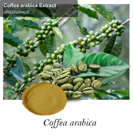 GREENSPACE sell "Coffea arabica Extract"