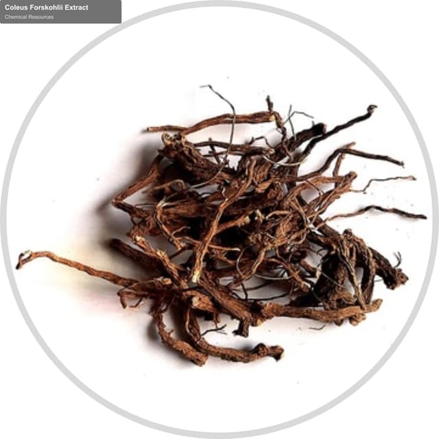 Chemical Resources sell "Coleus Forskohlii Extract"