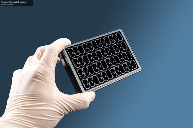 HiComp Microtech sell "Custom Microplate Services"