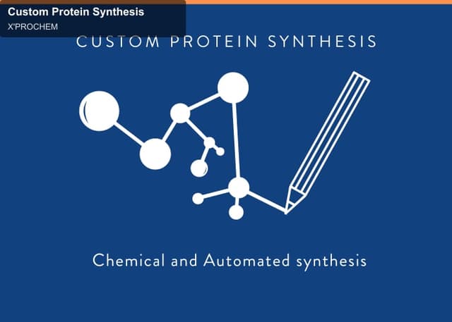 X'PROCHEM sell "Custom Protein Synthesis"