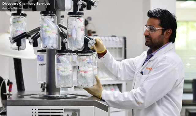 Aurigene Services sell "Discovery Chemistry Services"