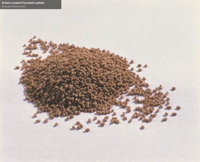 Nordmark Pharma GmbH sell "Enteric-coated Pancreatin pellets"