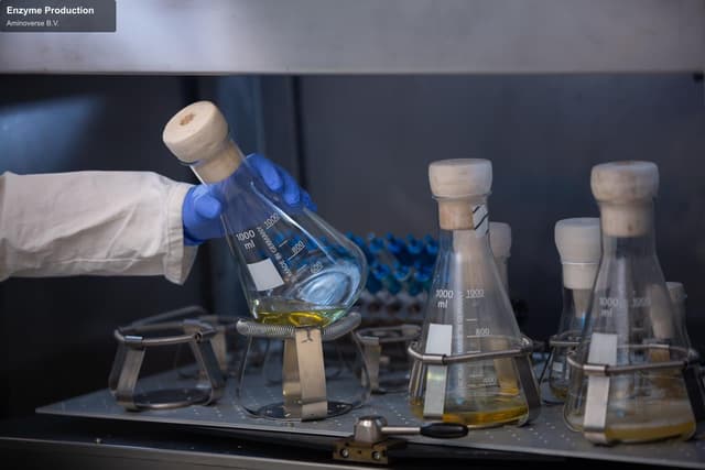 Aminoverse B.V. sell "Enzyme Production"
