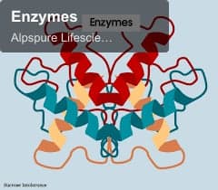 Alpspure Lifesciences Pvt Ltd sell "Enzymes"
