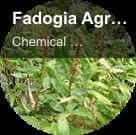 Chemical Resources sell "Fadogia Agrestis Extract"