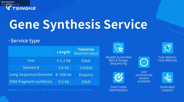 Tsingke Biotechnology Co.,Ltd. sell "Gene Synthesis"