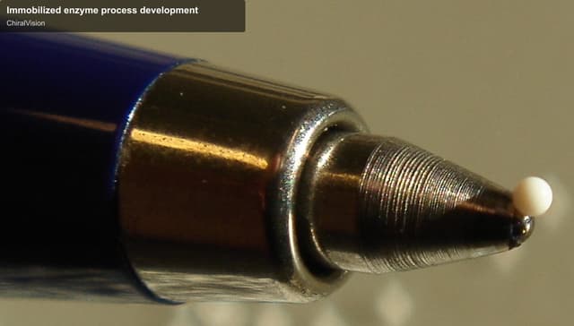 ChiralVision sell "Immobilized enzyme process development"