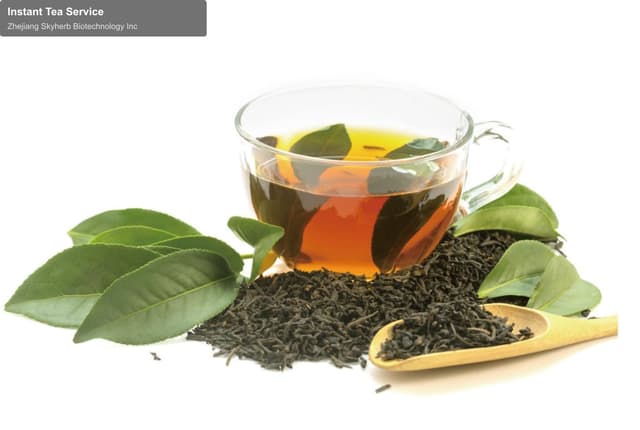 Zhejiang Skyherb Biotechnology Inc sell "Instant Tea Service"