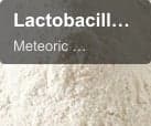 Meteoric Biopharmaceuticals Pvt Ltd sell "Lactobacillus casei"