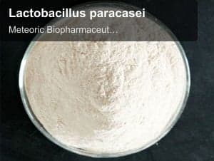 Meteoric Biopharmaceuticals Pvt Ltd sell "Lactobacillus paracasei"