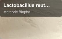 Meteoric Biopharmaceuticals Pvt Ltd sell "Lactobacillus reuteri"