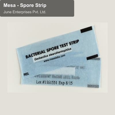June Enterprises Pvt. Ltd. sell "Mesa - Spore Strip"