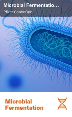 Pfizer CentreOne sell "Microbial Fermentation Contract Manufacturing"