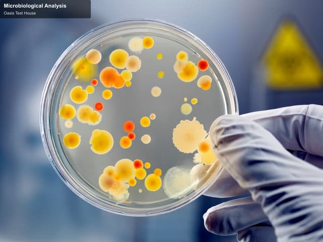 Oasis Test House sell "Microbiological Analysis"