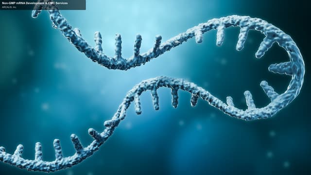 ARCALIS, Inc. sell "Non-GMP mRNA Development & CMC Services"