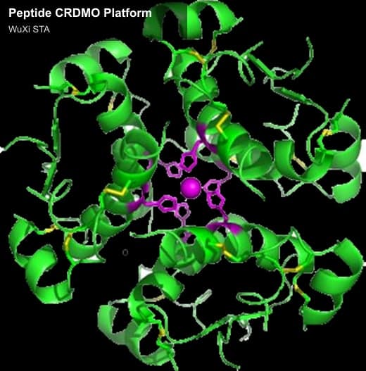 WuXi STA sell "Peptide CRDMO Platform"